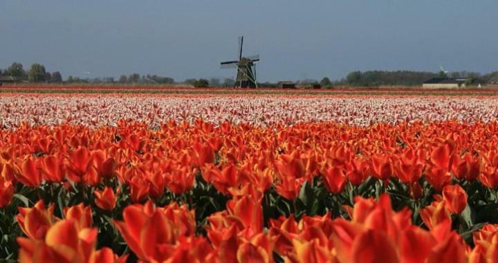 Vakantieverblijf Aan De Dijk Otel Hippolytushoef Dış mekan fotoğraf